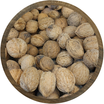 گردوی ایرانی