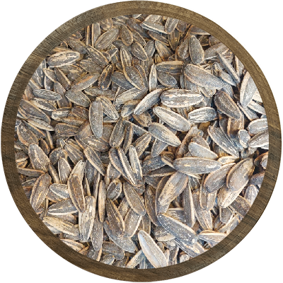 تخمه کانادایی ایرانی